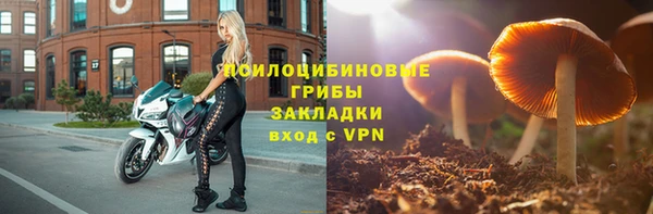 хмурый Богородск