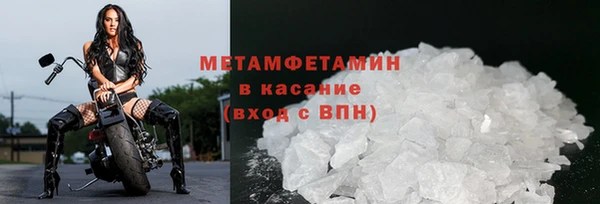 прущие грибы Богородицк