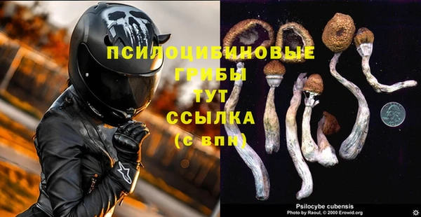 МДМА Богданович