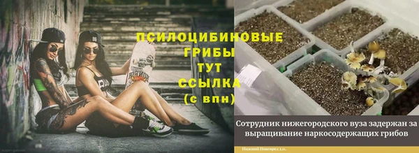 2c-b Белокуриха