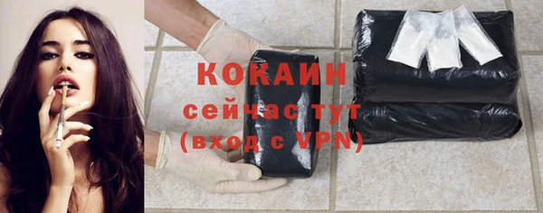 прущие грибы Богородицк